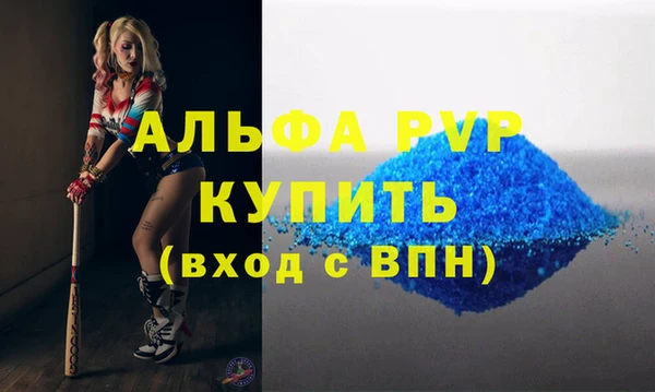 прущие грибы Бородино