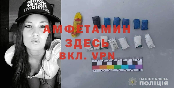 прущие грибы Бородино