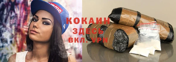 прущие грибы Бородино