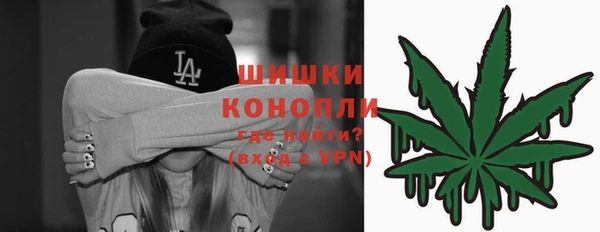 прущие грибы Бородино