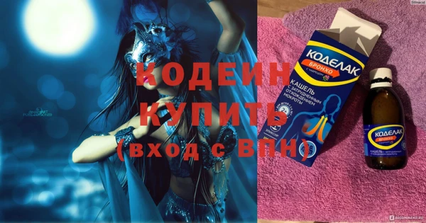 прущие грибы Бородино