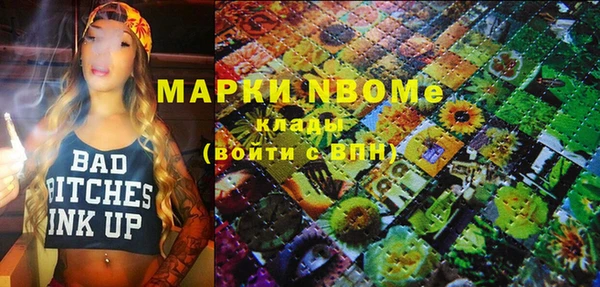 прущие грибы Бородино