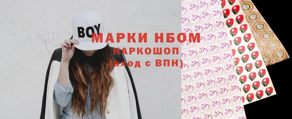 прущие грибы Бородино