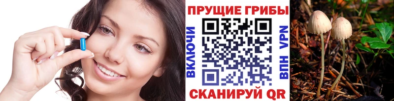 Галлюциногенные грибы GOLDEN TEACHER  MEGA рабочий сайт  Мончегорск  как найти  